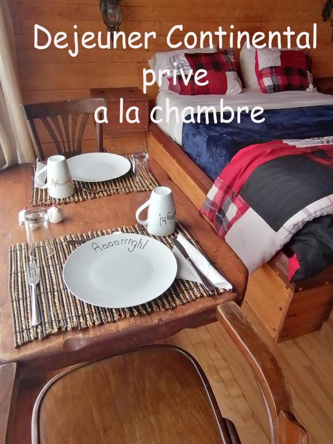 Bed and Breakfast L'Oasis Du Pirate Lévis Zewnętrze zdjęcie