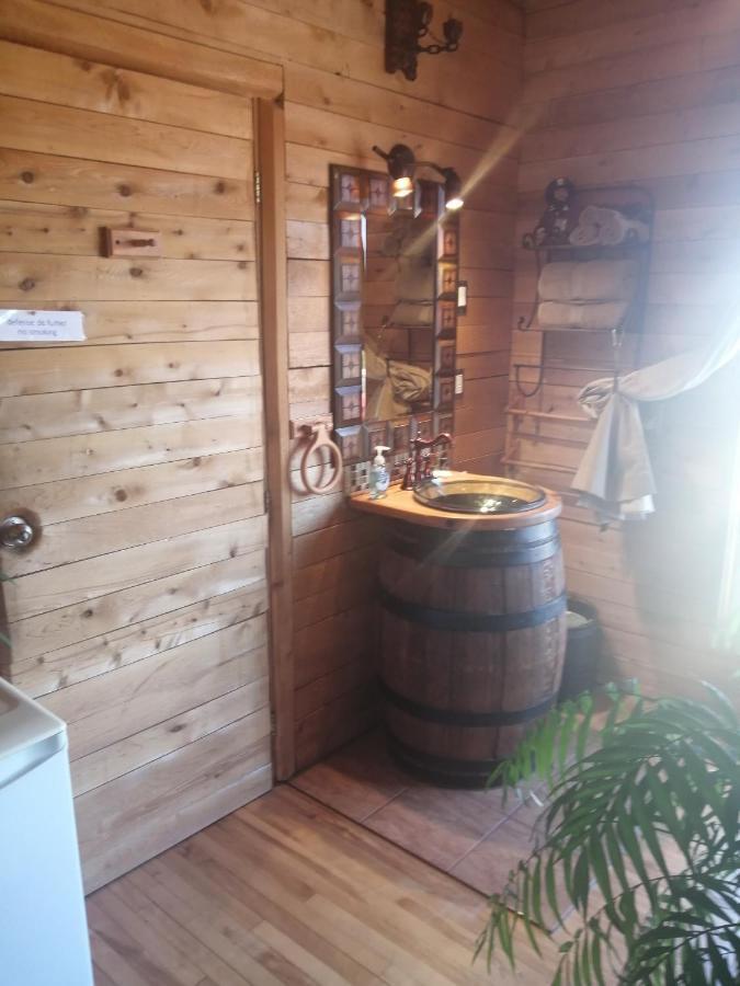 Bed and Breakfast L'Oasis Du Pirate Lévis Zewnętrze zdjęcie
